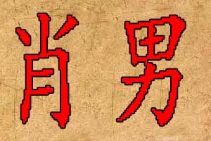 姓肖男宝宝名字